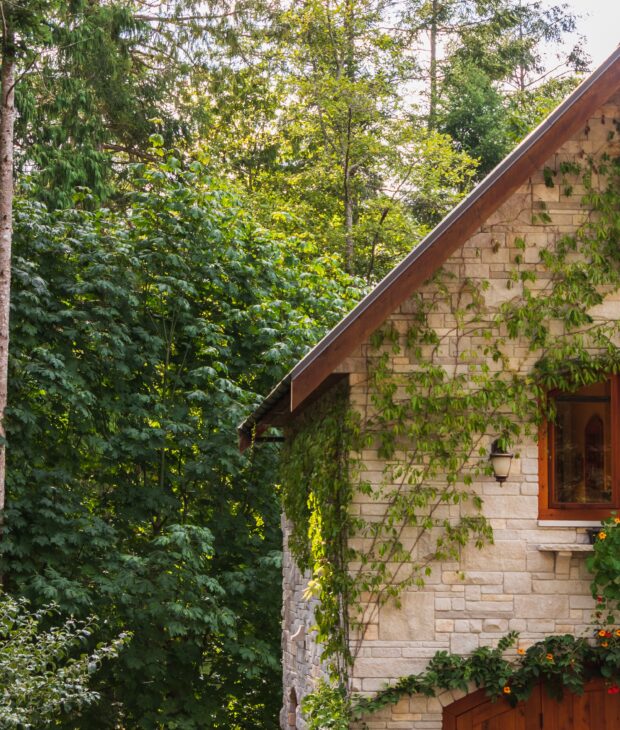 Holiday homes
