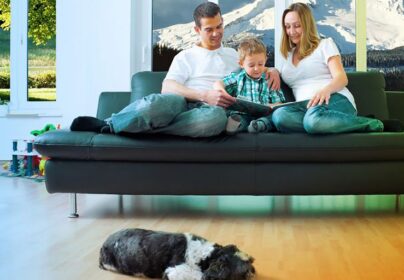 HEAT PUMP COOLING – THE SMART ALTERNATIVE TO AIR CONDITIONING